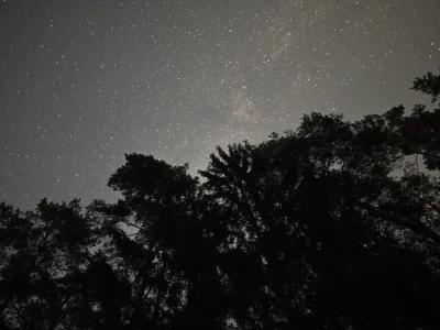 Miziobot - Taka fotke telefonem poczynilem

#fotografia #telefony #chwalesie