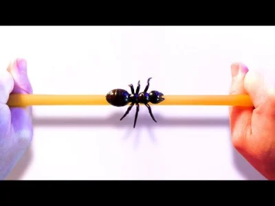 POPCORN-KERNAL - Ant On A Rubber Rope Paradox

Translator/Wikipedia: Mrówka zaczyna p...