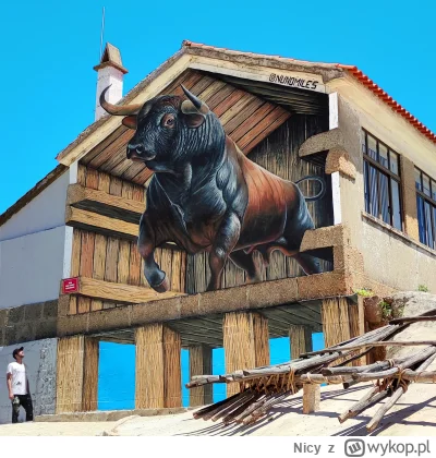 Nicy - UWAGA!!! 
W dniu wczorajszym na stronie konkursowej pojawiło się oświadczenie,...