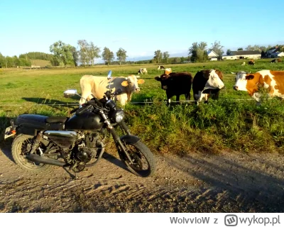 WolvvloW - #motocykle #spierdotrip 

Babie lato niesie wiatr...

Uwielbiam tą mazursk...