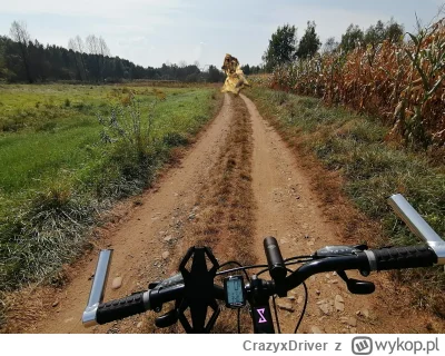 CrazyxDriver - 511 081 + 42 = 511 123

No nie znowu to samo. Musze jechać na około. E...