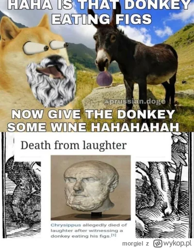morgiel - #heheszki #humorobrazkowy #historycznememy