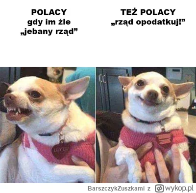 BarszczykZuszkami - @ToJestNiepojete: 
Polacy: "przez programy rządowe i podatki jest...