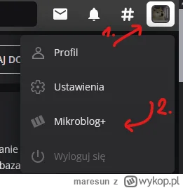 maresun - na jakich przeglądarkach wam sie nie wyświetla mikroblog+ ? bo chciałem tam...