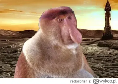 bar125 - @manlet185cm: