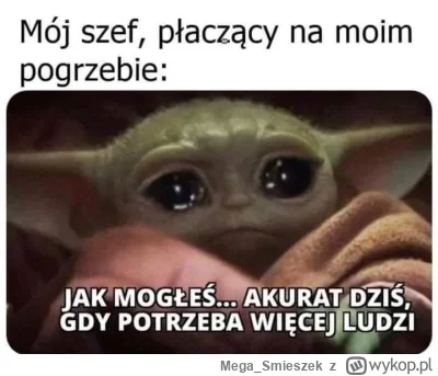 Mega_Smieszek