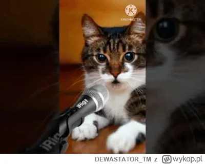 DEWASTATOR_TM - @Kotouak: Hemlo
https://youtube.com/shorts/DdSRfsryd6o?si=CEDZkj7FgiN...