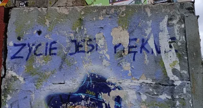 WrzeCiOna - Taki dylemat #heheszki #przemyslenia