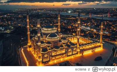 sciana - W pierwszej chwili myślałem, że na miniaturce jest jakiś meczet z minaretami