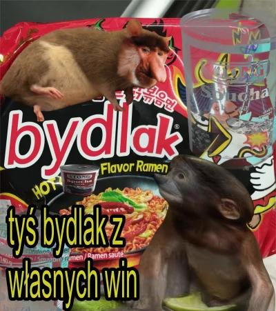 Marinka95 - #konkursnanajbardziejgownianymemznosaczem