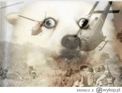 xionacz - @adam128256 ( ͡º ͜ʖ͡º)