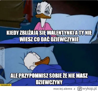 maciej-alems - #walentynki #walentynkizwykopem