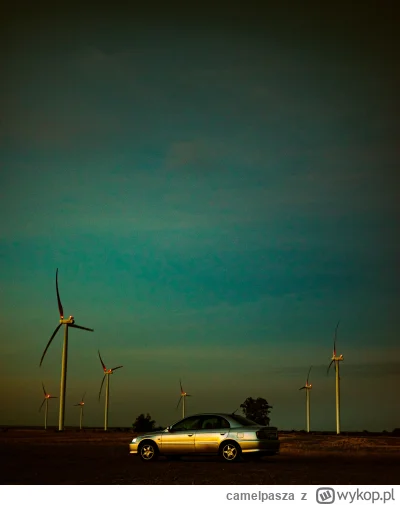 camelpasza - patrol#1