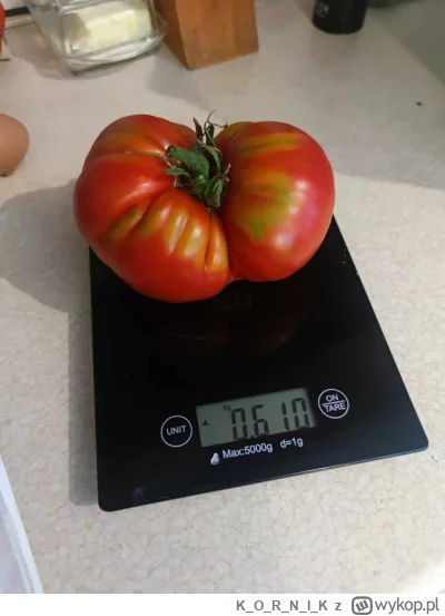 KORNI_K - #pomidory #ogrodnictwo #chwalesie 
No to zacznę w tym roku konkurs na pomid...