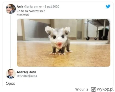 Widur - @RobieZdrowaZupke: