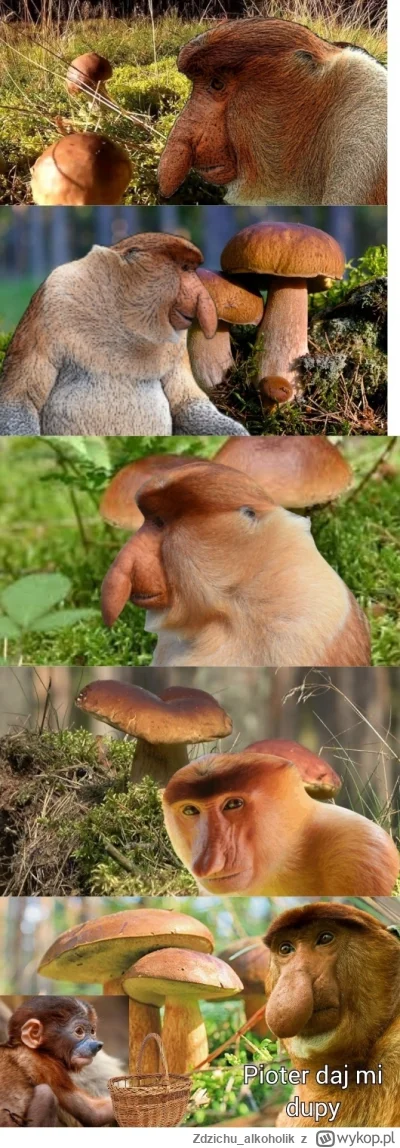 Zdzichu_alkoholik - #konkursnanajbardziejgownianymemznosaczem sprawiedliwe dzielo