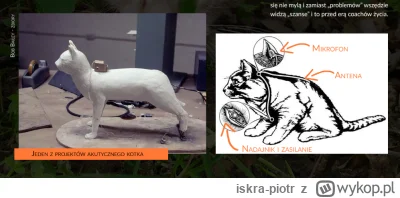 iskra-piotr - W latach 60. XX wieku CIA wpadło na szczwany plan użycia kotów jako szp...
