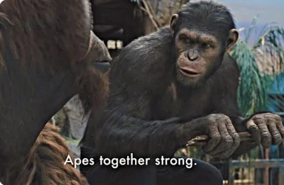 Oj_tak - Wczoraj jechałem sobie metrem i widzę osobnika wiadomo jakiej karnacji. Pomi...