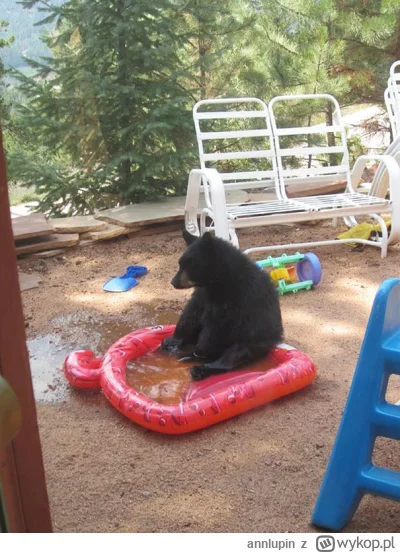 annlupin - nie ma horrory takie jak chce