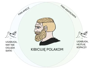KRS - powiększyłem Was hejterzy, żebyście się w ogóle odnaleźli

#siatkowka #mecz #pi...