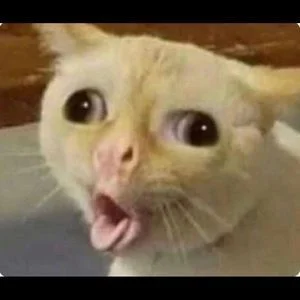 Moczymorda77 - @levzor: 
Duszom kota s---------y,znowu nie przeczytali instrukcji obs...