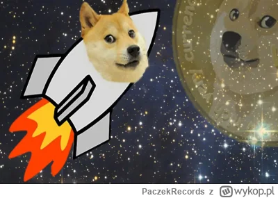 PaczekRecords - #kryptowaluty #dogecoin
Który to juz raz pieseł leci w kosmos?..