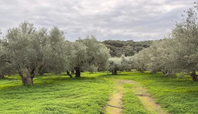asdfghjkl - Ale fajnie zielono