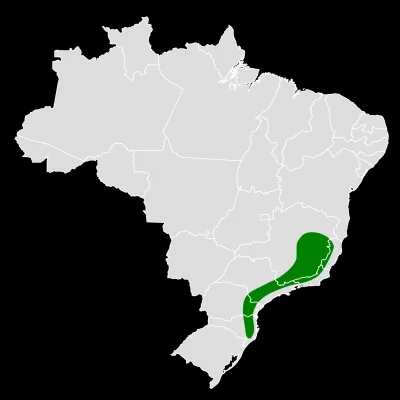 Lifelike - Zasięg występowania (brazylijski endemit):