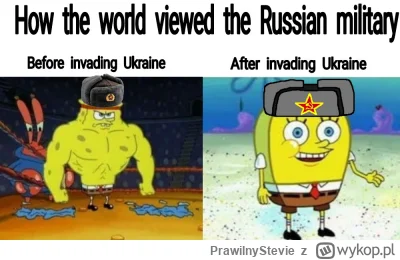 PrawilnyStevie - #wojna #rosja #ukraina #heheszki