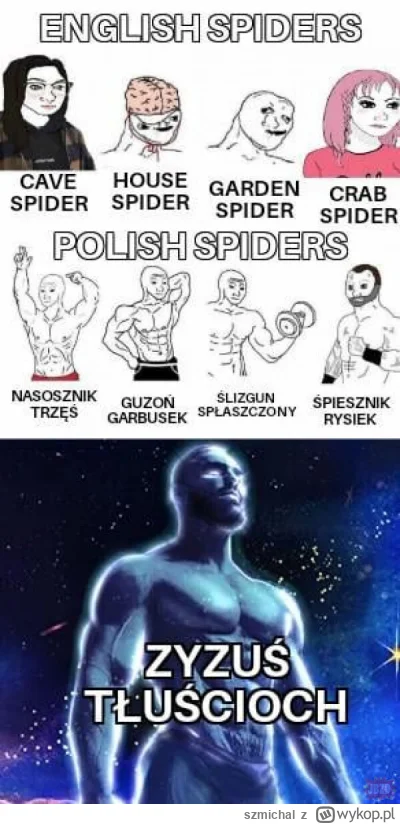 szmichal - Ma ktoś może template do tego mema? #heheszki #memy #humorobrazkowy