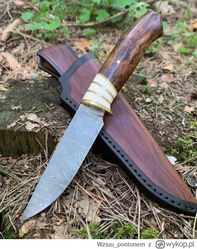 Wziuupontonem - @Wziuupontonem: