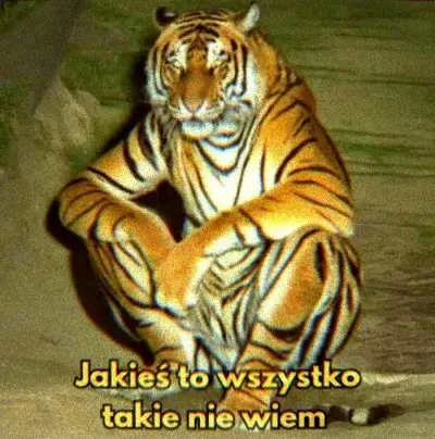 Mauy94 - @dywergent: