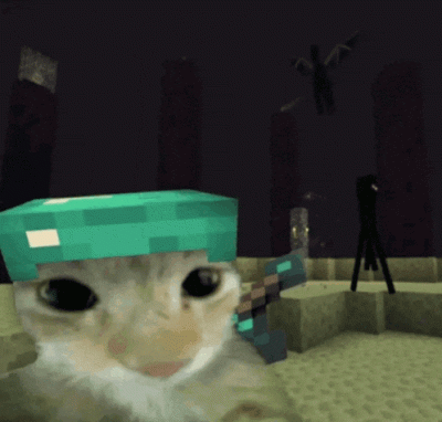 dywergent - to bylby dobry dzien na minecraft