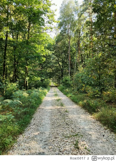 Roxi5017 - 464 999 + 49 = 465 048

Pojeżdżone 🚴

#rowerowyrownik #rower

Skrypt | St...