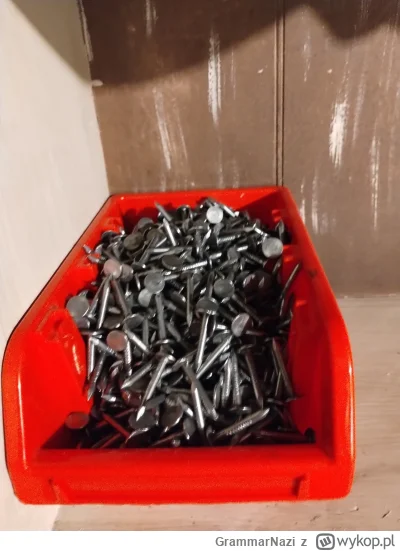 GrammarNazi - Mam tu nawet papiaki #2137