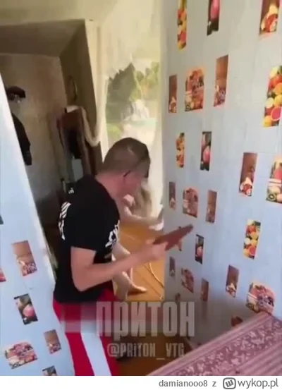 damianooo8 - #zwiazki #kiciochpyta #rozowepaski #niebieskiepaski

Kto zawinił?