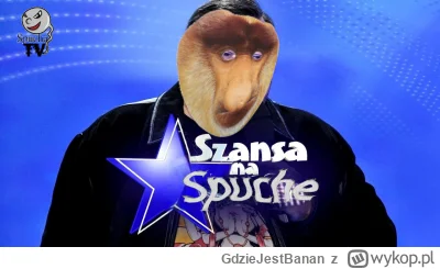 GdzieJestBanan - ##!$%@? #konkursnanajbardziejgownianymemznosaczem
Programy telewizyj...