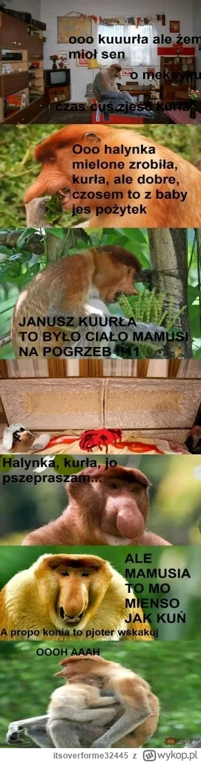 itsoverforme32445 - #memy #humorobrazkowy #gownowpis #heheszki #mem #nosaczsundajski ...