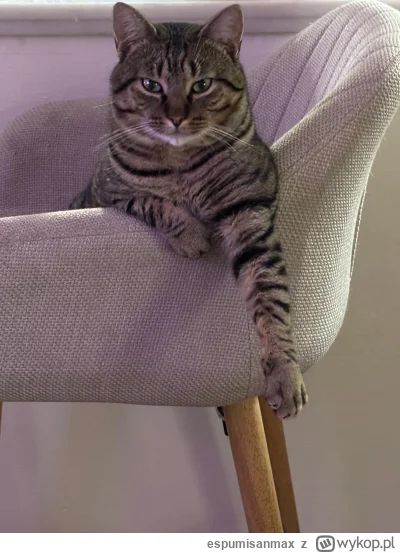 espumisanmax - Spóźniłem się z saszetą i wezwał mnie do swojego biura. Chyba wyrzuci ...