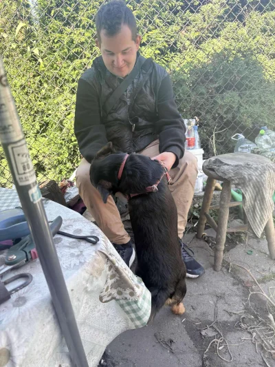 zssrauamaiw - #przegryw #pokazkota