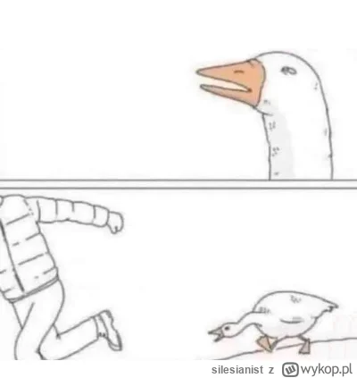 silesianist - Przed meczem Włochy -Norwegia, Włosi płakali, że nie liczy się bilans b...