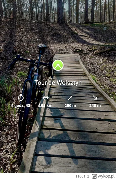 T1001 - 31 052 + 74 + 75 + 105 = 31 306

Dosyć juz miałem kręcenia w kolo komina i za...