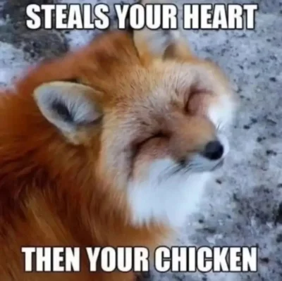 Rustyyyy - @MLeko29: gdyby było inaczej, to bóg by inaczej skonstruował świat ( ͡° ͜ʖ...