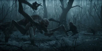 CynicznyDlugouch - @smokingcat tak wyglądała kikimora w netflixowym wiedźminie