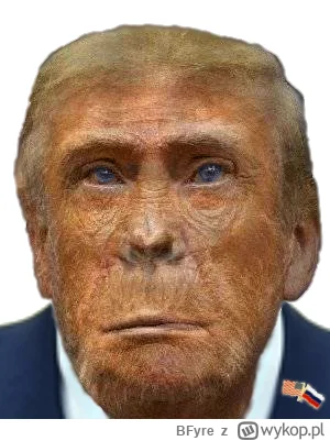 BFyre - Takie myśli na podstawie obserwowania informacji w ostatnich tygodniach/miesi...