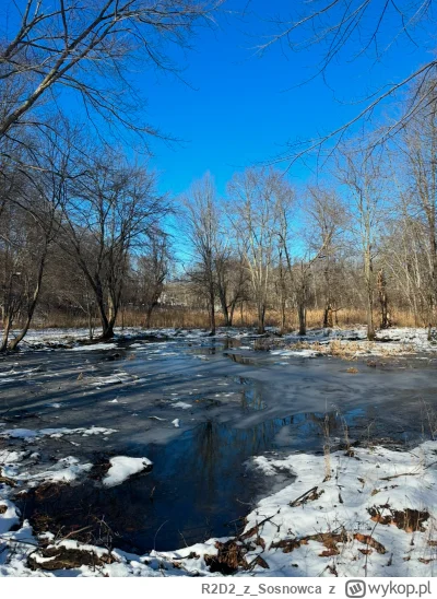 R2D2zSosnowca - @R2D2zSosnowca 1