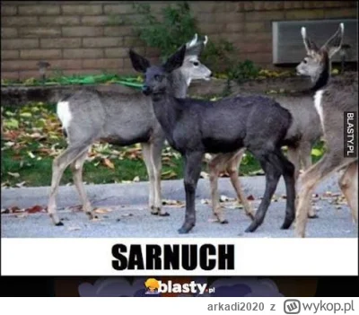 arkadi2020 - @Uuroboros: