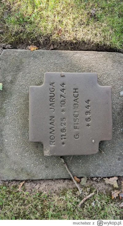 muchabzz - Na cmentarzu niemieckim przy plaży Omaha 25 proc nagrobków to Polacy. Znal...