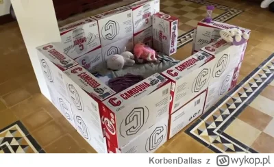 KorbenDallas - #raportzpanstwasrodka czyli spekulacje można  zakończyć