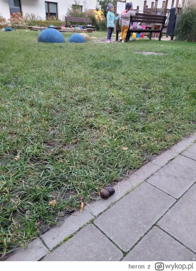 heron - @rvnow: a co mnie to obchodzi kto. Problem jest powszechny i gówna znajduję w...